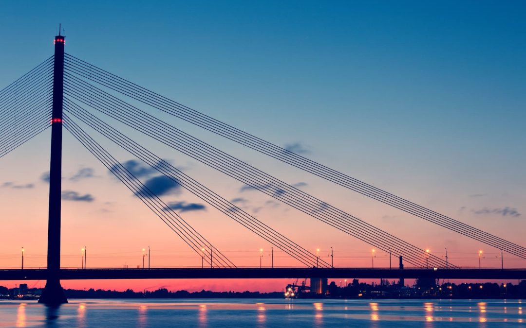 Citric Acid Passivation for Underwater Load Cells and Torque Sensors